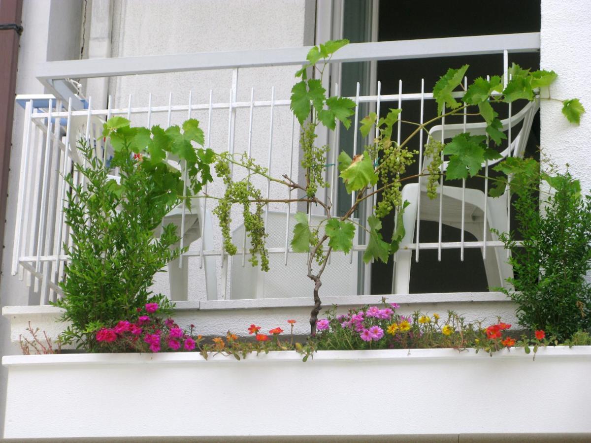 Hotel Sorriso Cattolica Exterior photo